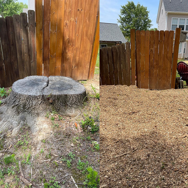 tree-stump-grinding-before-and-after-2