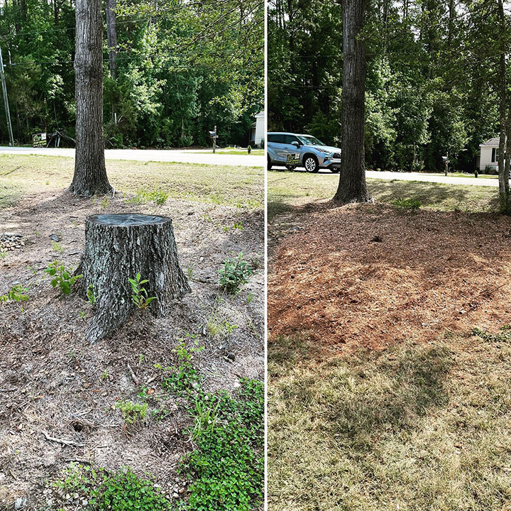 tree-stump-removal-before-and-after